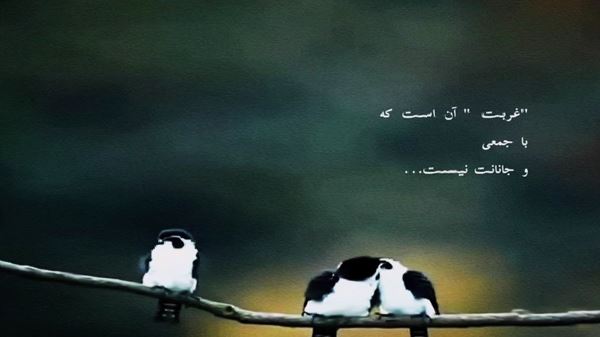 عزیزم اگر ونم حالم نپرسی ریمیکس رپ اینستا